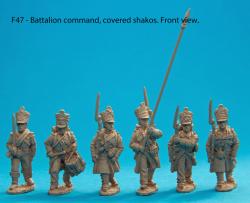 F47 – Battalion command in covered shakos.